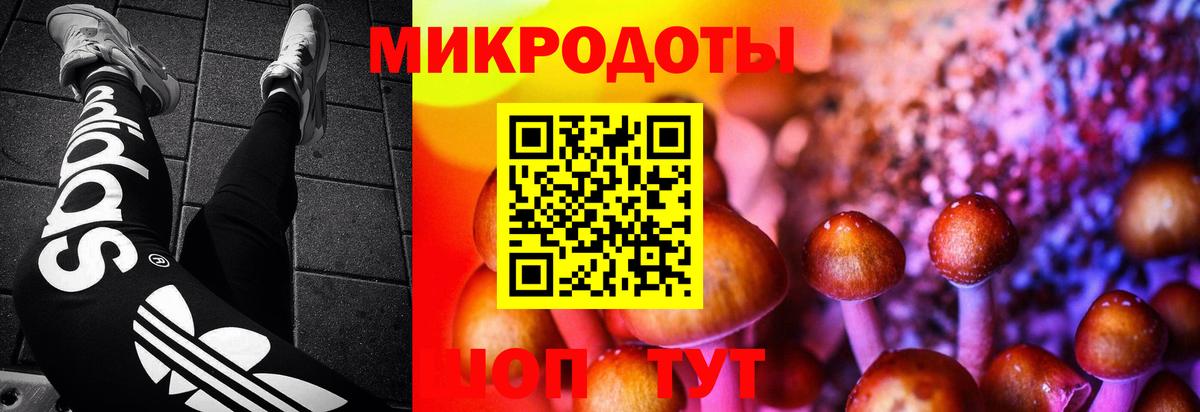 Псилоцибиновые грибы MAGIC MUSHROOMS Первоуральск